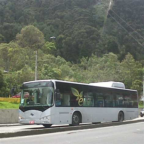 Chińskie autobusy elektryczne